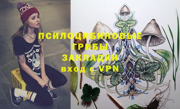 бутират Лагань